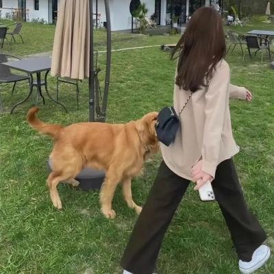 袒露新生
